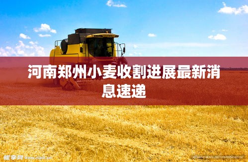 河南郑州小麦收割进展最新消息速递