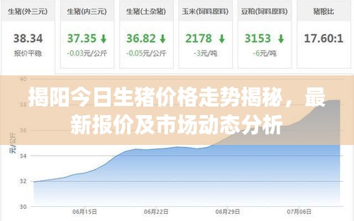 揭阳今日生猪价格走势揭秘，最新报价及市场动态分析