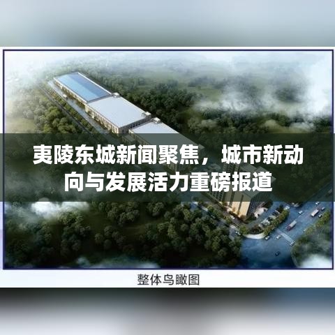夷陵东城新闻聚焦，城市新动向与发展活力重磅报道