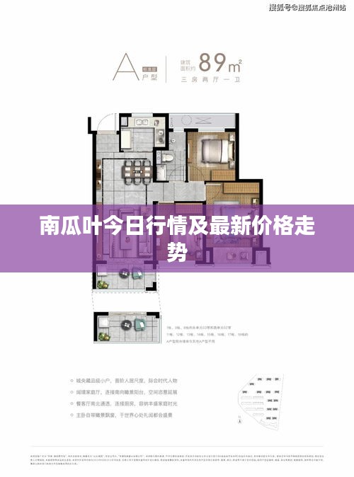 南瓜叶今日行情及最新价格走势