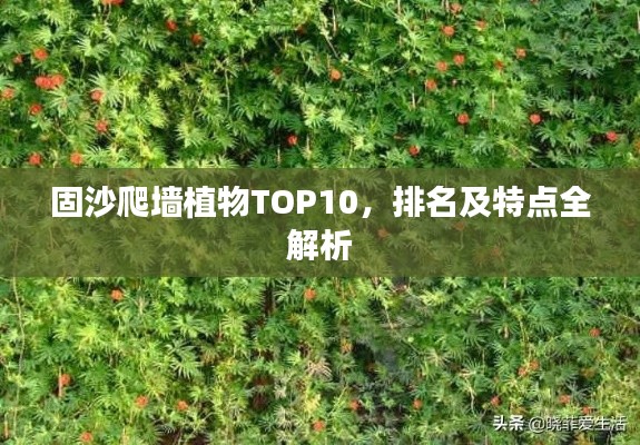 物以稀为贵 第2页