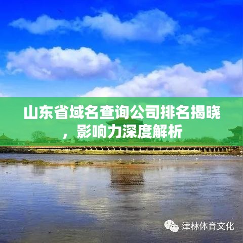 山东省域名查询公司排名揭晓，影响力深度解析