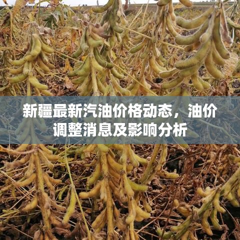 见仁见智 第2页