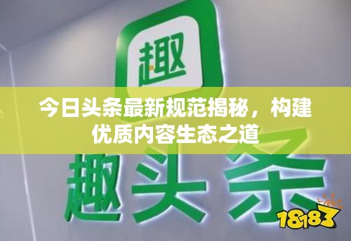 今日头条最新规范揭秘，构建优质内容生态之道