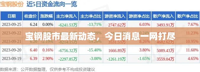 宝钢股市最新动态，今日消息一网打尽
