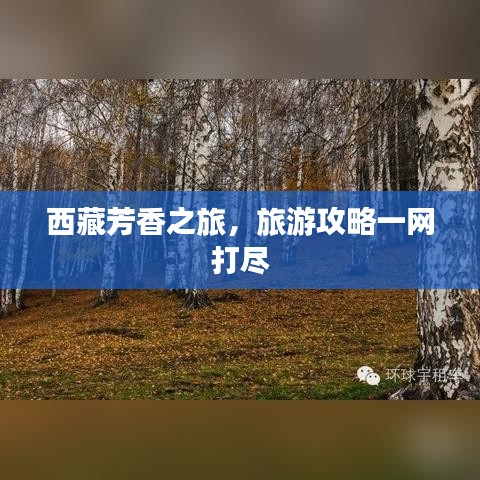 西藏芳香之旅，旅游攻略一网打尽