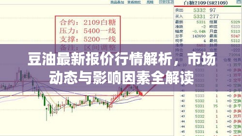 豆油最新报价行情解析，市场动态与影响因素全解读