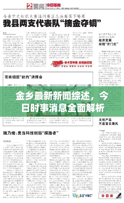 金乡最新新闻综述，今日时事消息全面解析