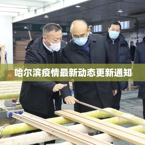 哈尔滨疫情最新动态更新通知