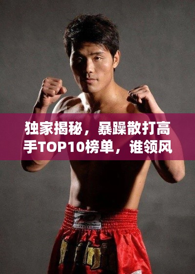 独家揭秘，暴躁散打高手TOP10榜单，谁领风骚？