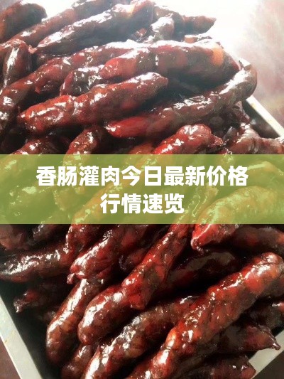 香肠灌肉今日最新价格行情速览