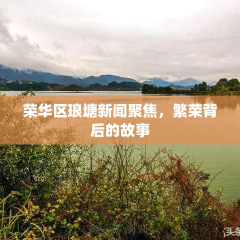 荣华区琅塘新闻聚焦，繁荣背后的故事