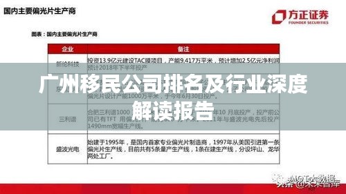 广州移民公司排名及行业深度解读报告