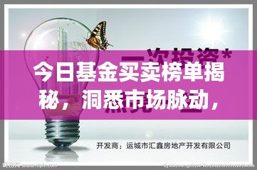 今日基金买卖榜单揭秘，洞悉市场脉动，把握投资黄金机会