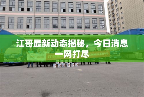 江哥最新动态揭秘，今日消息一网打尽