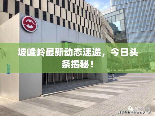 坡峰岭最新动态速递，今日头条揭秘！