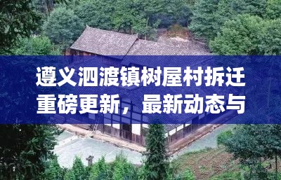 遵义泗渡镇树屋村拆迁重磅更新，最新动态与细节揭秘！
