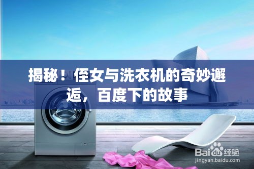 揭秘！侄女与洗衣机的奇妙邂逅，百度下的故事