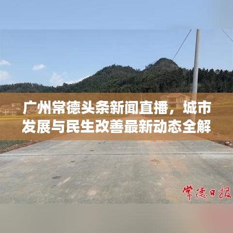 广州常德头条新闻直播，城市发展与民生改善最新动态全解析