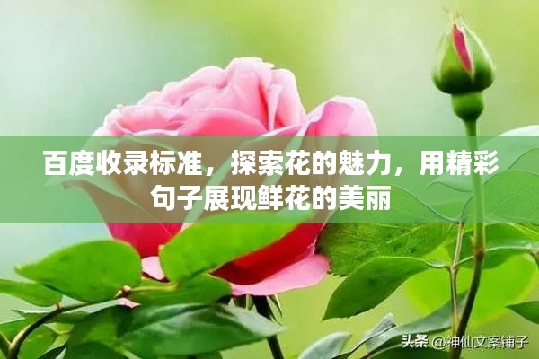 林下风气 第2页