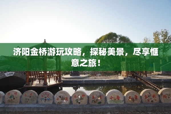 济阳金桥游玩攻略，探秘美景，尽享惬意之旅！