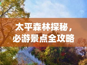 太平森林探秘，必游景点全攻略！