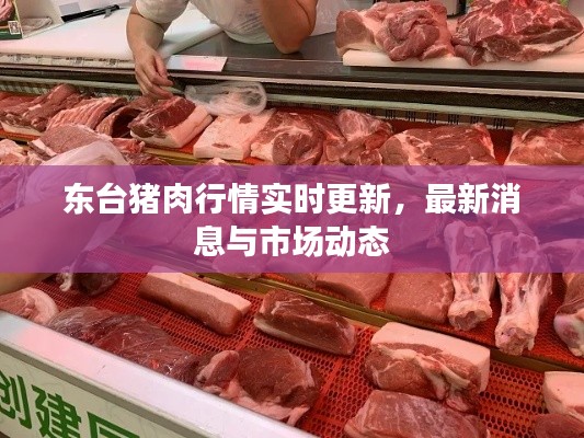 东台猪肉行情实时更新，最新消息与市场动态