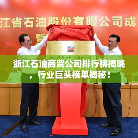 浙江石油商贸公司排行榜揭晓，行业巨头榜单揭秘！