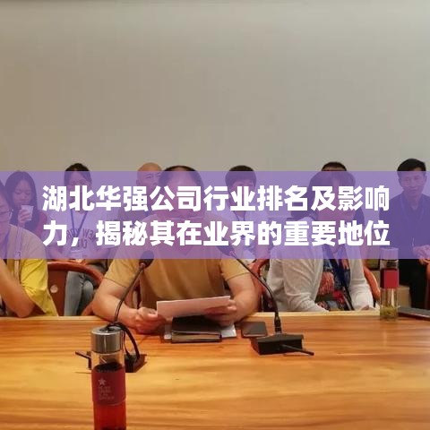 湖北华强公司行业排名及影响力，揭秘其在业界的重要地位