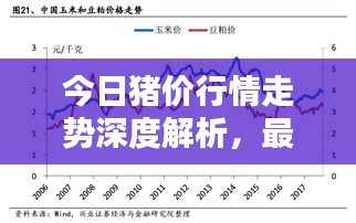 今日猪价行情走势深度解析，最新动态与趋势分析图呈现！