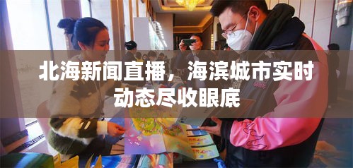 北海新闻直播，海滨城市实时动态尽收眼底