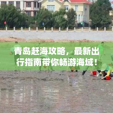 青岛赶海攻略，最新出行指南带你畅游海域！