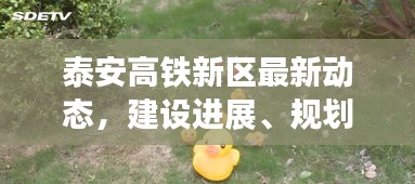 泰安高铁新区最新动态，建设进展、规划曝光及影响分析