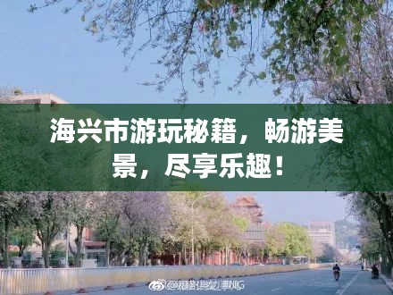 海兴市游玩秘籍，畅游美景，尽享乐趣！