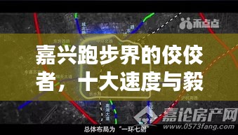 嘉兴跑步界的佼佼者，十大速度与毅力典范排名出炉！