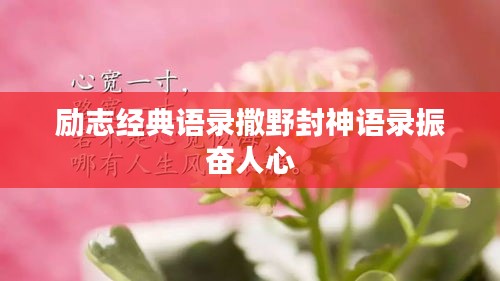 励志经典语录撒野封神语录振奋人心