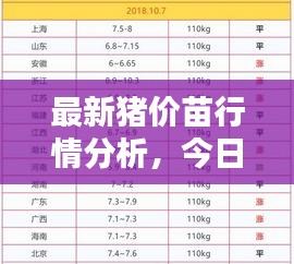 最新猪价苗行情分析，今日价格走势揭秘