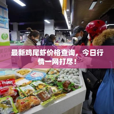 最新鸡尾虾价格查询，今日行情一网打尽！