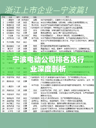 宁波电动公司排名及行业深度剖析