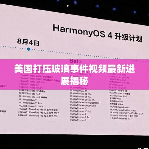 美国打压玻璃事件视频最新进展揭秘