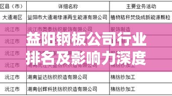 益阳钢板公司行业排名及影响力深度解析
