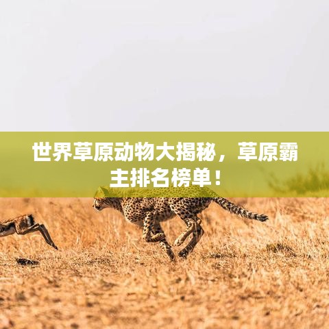 功名富贵