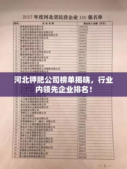 河北钾肥公司榜单揭晓，行业内领先企业排名！