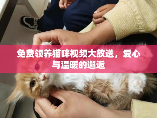 屦贱踊贵