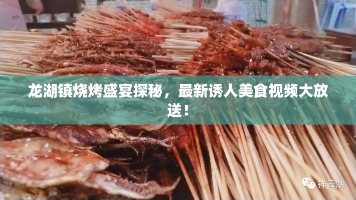 龙湖镇烧烤盛宴探秘，最新诱人美食视频大放送！