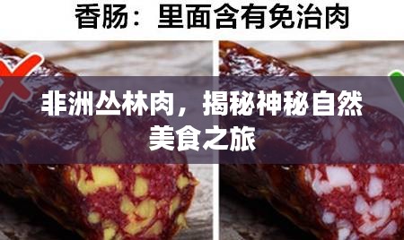 非洲丛林肉，揭秘神秘自然美食之旅