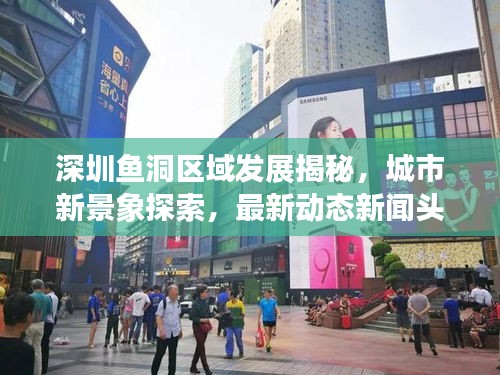 深圳鱼洞区域发展揭秘，城市新景象探索，最新动态新闻头条