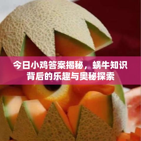 今日小鸡答案揭秘，蜗牛知识背后的乐趣与奥秘探索