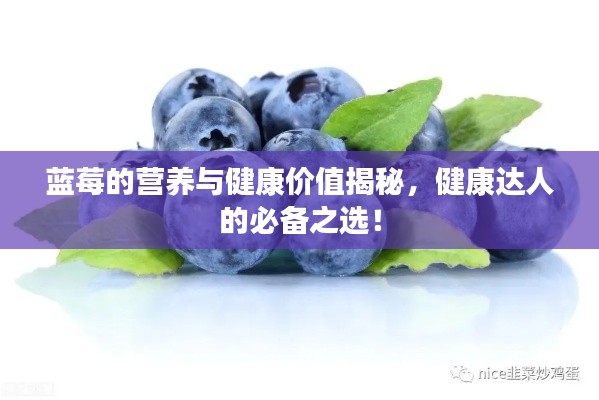 2025年5月5日 第5页
