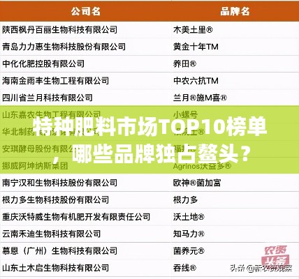 2025年5月7日 第4页